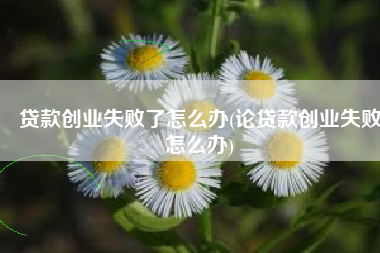 贷款创业失败了怎么办(论贷款创业失败怎么办)