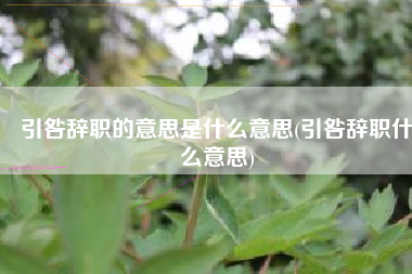 引咎辞职的意思是什么意思(引咎辞职什么意思)