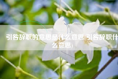 引咎辞职的意思是什么意思(引咎辞职什么意思)