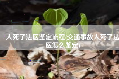 人死了法医鉴定流程(交通事故人死了法医怎么鉴定)