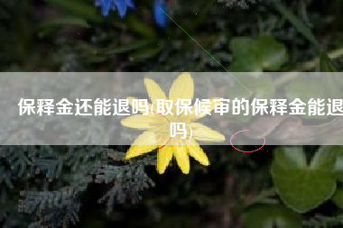 保释金还能退吗(取保候审的保释金能退吗)