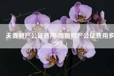 夫妻财产公证费用(婚姻财产公证费用多少？)