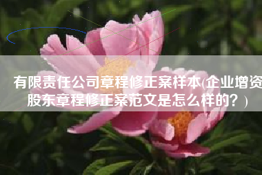 有限责任公司章程修正案样本(企业增资股东章程修正案范文是怎么样的?)