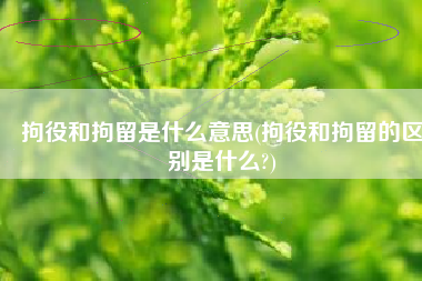 拘役和拘留是什么意思(拘役和拘留的区别是什么?)