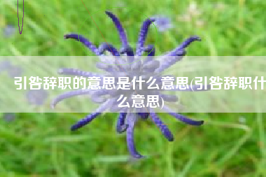 引咎辞职的意思是什么意思(引咎辞职什么意思)