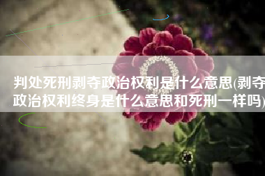 判处死刑剥夺政治权利是什么意思(剥夺政治权利终身是什么意思和死刑一样吗)