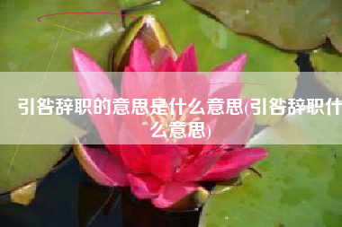 引咎辞职的意思是什么意思(引咎辞职什么意思)