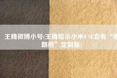 王腾微博小号(王腾暗示小米9 SE会有“布朗熊”定制版)