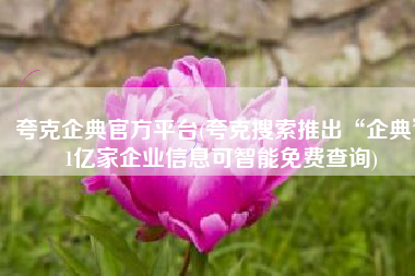 夸克企典官方平台(夸克搜索推出“企典” 1亿家企业信息可智能免费查询)