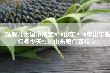 婚假几天国家法定2020山东(2020年山东婚假多少天?2020山东婚假新规定)