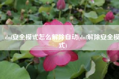 dnf安全模式怎么解除自动(dnf解除安全模式) dnf安全模式怎么解除自动(dnf解除安全模式)