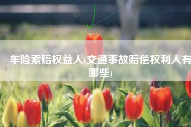 车险索赔权益人(交通事故赔偿权利人有哪些)