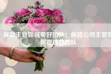 保险主管如何带好团队：保险公司主管如何管理好团队