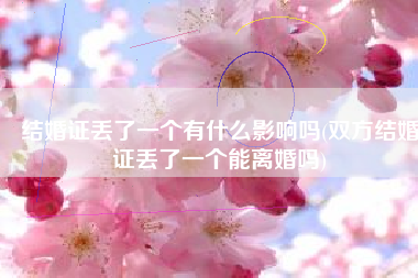 结婚证丢了一个有什么影响吗(双方结婚证丢了一个能离婚吗)