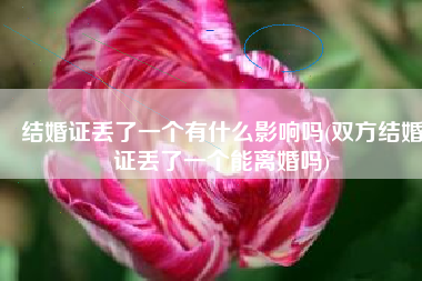 结婚证丢了一个有什么影响吗(双方结婚证丢了一个能离婚吗)