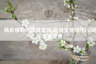 高衣领如何改成低领(高领变低领?自己动手丰衣足食)