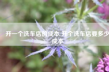 开一个洗车店的成本 开个洗车店要多少成本