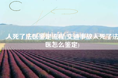 人死了法医鉴定流程(交通事故人死了法医怎么鉴定)