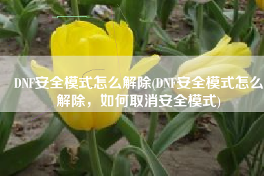 DNF安全模式怎么解除(DNF安全模式怎么解除，如何取消安全模式)