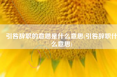 引咎辞职的意思是什么意思(引咎辞职什么意思)