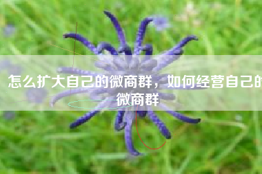 怎么扩大自己的微商群，如何经营自己的微商群