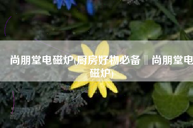 尚朋堂电磁炉(厨房好物必备‖尚朋堂电磁炉)