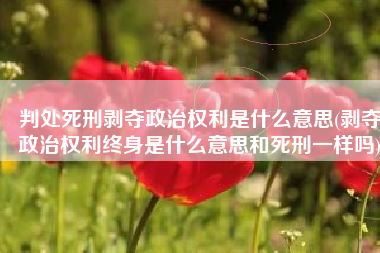 判处死刑剥夺政治权利是什么意思(剥夺政治权利终身是什么意思和死刑一样吗)