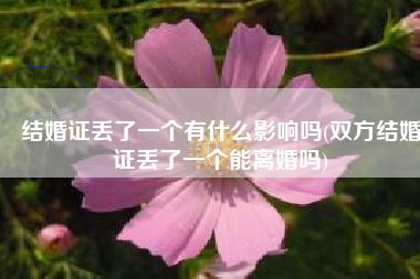 结婚证丢了一个有什么影响吗(双方结婚证丢了一个能离婚吗)