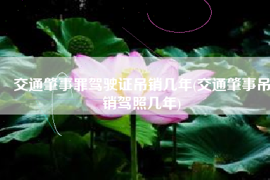 交通肇事罪驾驶证吊销几年(交通肇事吊销驾照几年)