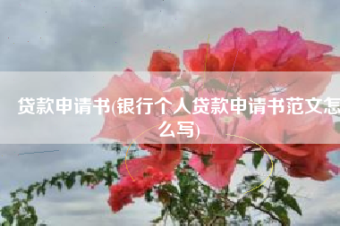 贷款申请书(银行个人贷款申请书范文怎么写)