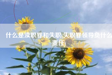 什么是渎职罪和失职(失职罪领导负什么责任)