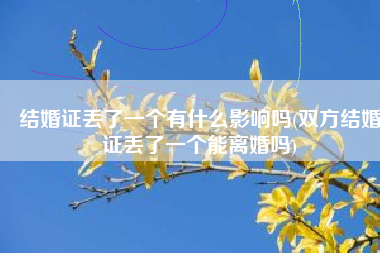 结婚证丢了一个有什么影响吗(双方结婚证丢了一个能离婚吗)