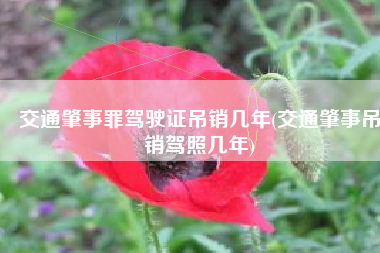 交通肇事罪驾驶证吊销几年(交通肇事吊销驾照几年)