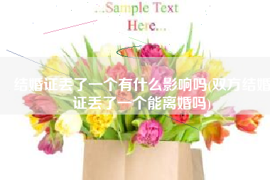 结婚证丢了一个有什么影响吗(双方结婚证丢了一个能离婚吗)