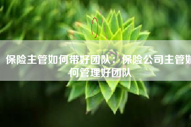 保险主管如何带好团队：保险公司主管如何管理好团队