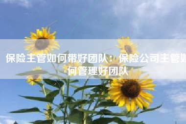 保险主管如何带好团队：保险公司主管如何管理好团队