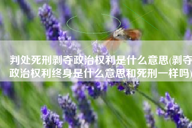 判处死刑剥夺政治权利是什么意思(剥夺政治权利终身是什么意思和死刑一样吗)