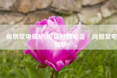 尚朋堂电磁炉(厨房好物必备‖尚朋堂电磁炉)