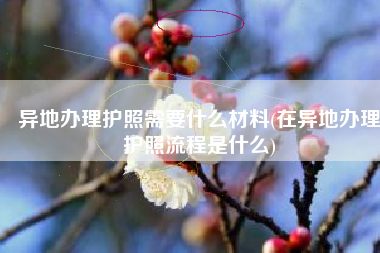 异地办理护照需要什么材料(在异地办理护照流程是什么)