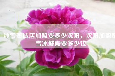 冰雪蜜城店加盟费多少沈阳，沈阳加盟蜜雪冰城需要多少钱