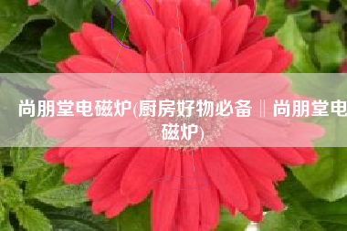 尚朋堂电磁炉(厨房好物必备‖尚朋堂电磁炉)