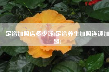 足浴加盟店多少钱(足浴养生加盟连锁加盟)