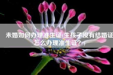 未婚如何办理准生证(生孩子没有结婚证怎么办理准生证？)