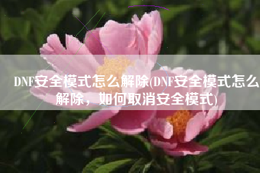 DNF安全模式怎么解除(DNF安全模式怎么解除，如何取消安全模式)