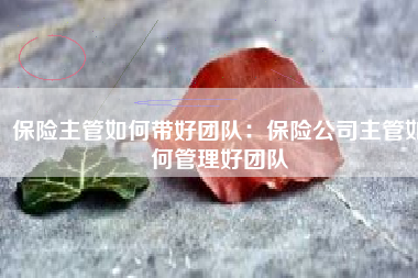 保险主管如何带好团队：保险公司主管如何管理好团队