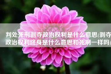 判处死刑剥夺政治权利是什么意思(剥夺政治权利终身是什么意思和死刑一样吗)