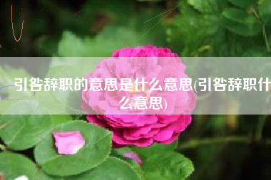 引咎辞职的意思是什么意思(引咎辞职什么意思) 引咎辞职的意思是什么意思(引咎辞职什么意思)