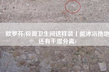 欧罗芬(极简卫生间这样装丨能沐浴拖地还有干湿分离) 欧罗芬(极简卫生间这样装丨能沐浴拖地还有干湿分离)