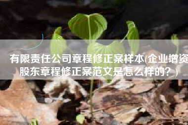 有限责任公司章程修正案样本(企业增资股东章程修正案范文是怎么样的？)