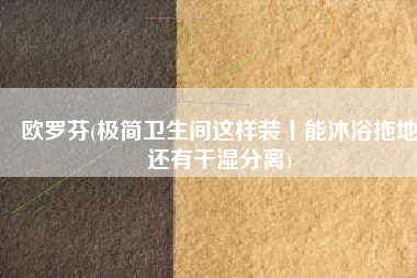 欧罗芬(极简卫生间这样装丨能沐浴拖地还有干湿分离)